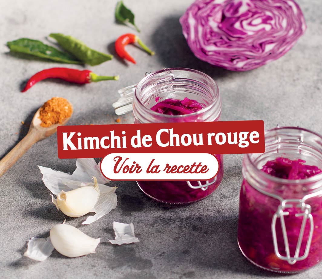 Recette-ingrédients-kimchi Page de contenu