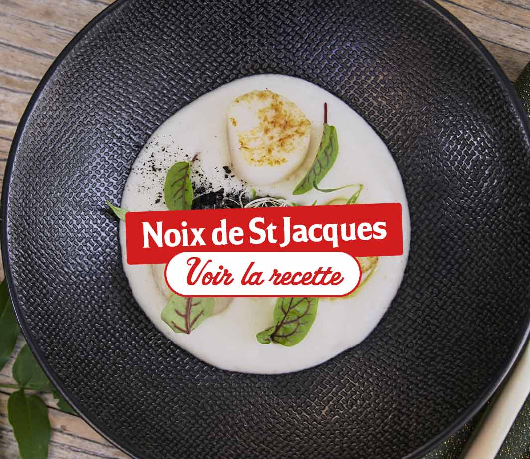 Recette-ingrédients-saint-jacques Page de contenu