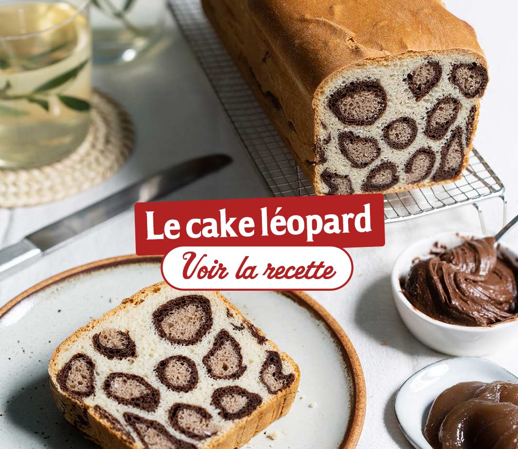 Recette-ingrédients-cake-leopard Page de contenu