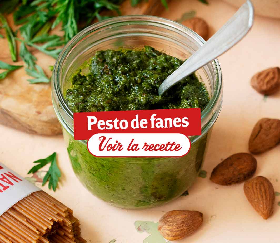 Recette-ingrédients-spaghetti-pesto-de-fanes Page de contenu