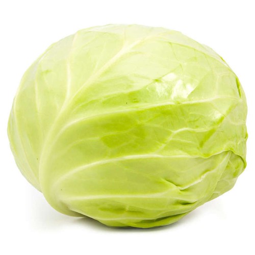 Naturalia Chou vert lisse Bio pièce