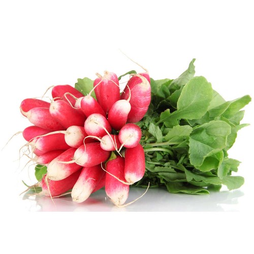Naturalia Radis rose Bio botte pièce