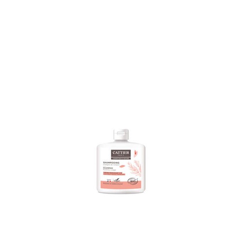 Cattier Shampooing Cheveux Regraissant Vite Vinaigre de Romarin 250ml