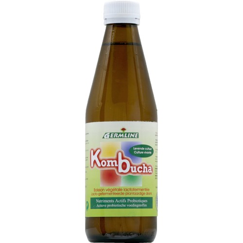 Germ Line Jus de Kombucha 33Cl