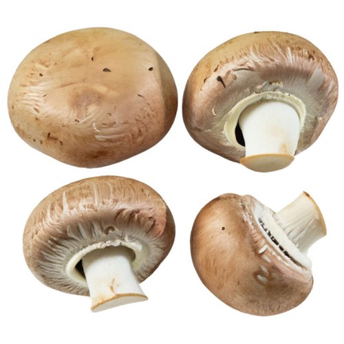 Naturalia Champignons de paris blond Bio 200g