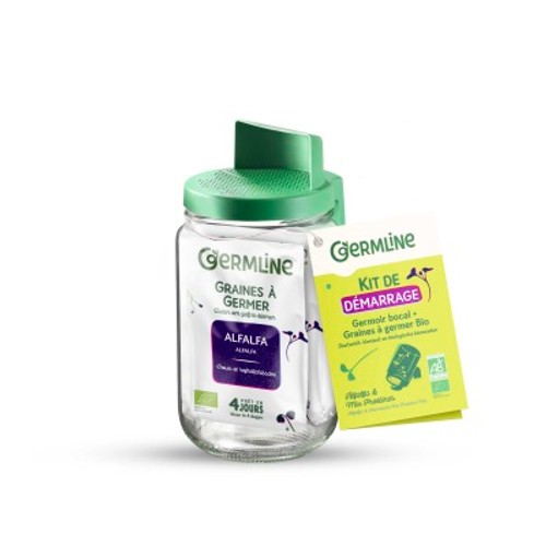 Germ Line Germoir en Verre pour Graines à Germer