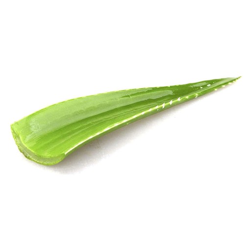 Naturalia Aloe vera Bio pièce