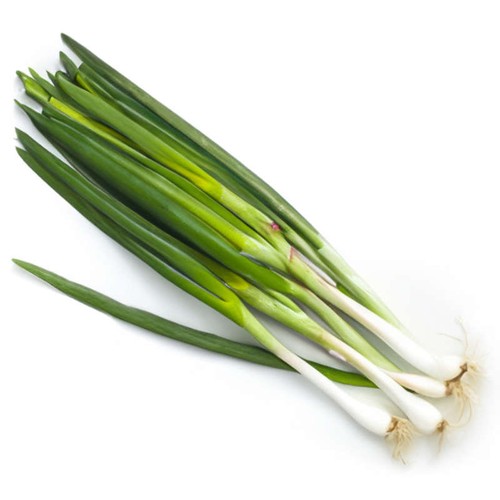 Naturalia Oignon cebette Bio botte
