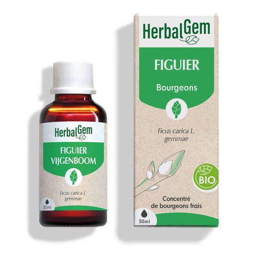 Herbalgem Complément Alimentaire Figuier Bio & Extrait de Bourgeon Frais 30ml