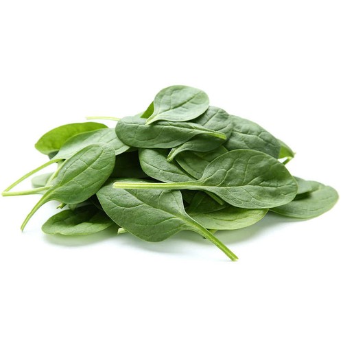 Naturalia Salade jeunes pousses d'épinard Bio 125g