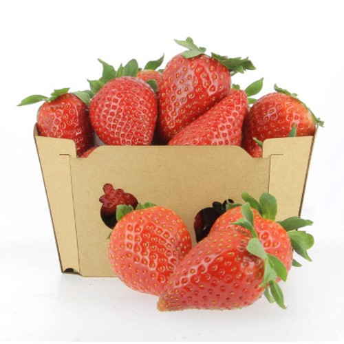 Naturalia Fraise Bio barquette 250g
