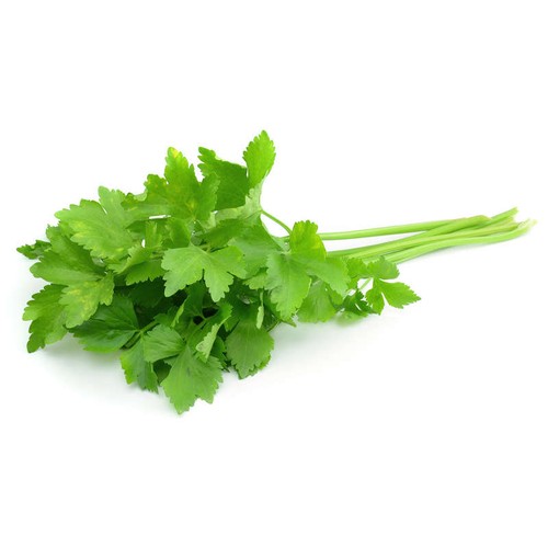 Naturalia Coriandre Bio botte pièce