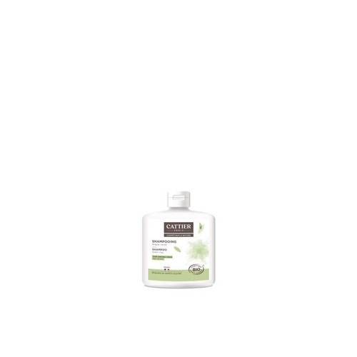 Cattier Shampoing Pour Cuir Chevelu Gras À L'Argile Verte Bio 250ml
