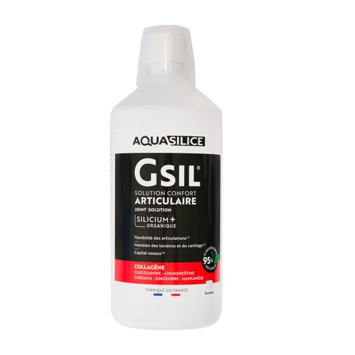Aquasilice GSIL Solution articulaire Buvable 1L