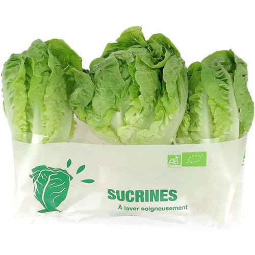 Salade Sucrine x2