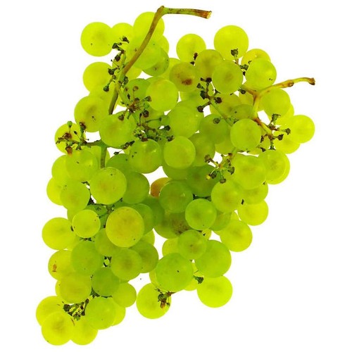 Naturalia Raisin blanc Bio 500g